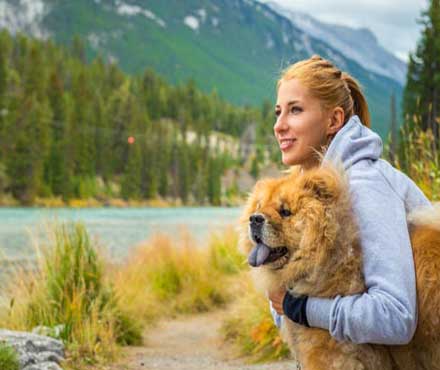 Three Reasons to Buy Eco-Friendly Pet Products