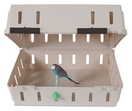 Traveling with Pet Birds