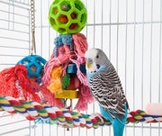 Bird Toys with an Edge