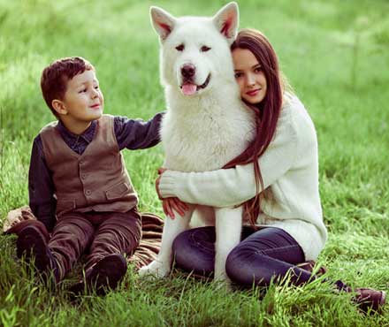 The Family Pet: Best Friend or Big Brother?