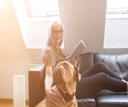 Learn About Apartment Friendly Dog Breeds