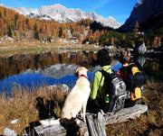 Outdoor Activities for You and Your Dog