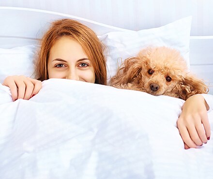 Should You Allow Your Pets in the Bed?