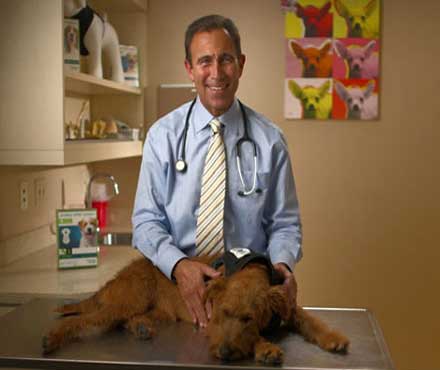 Dr. Jeff Werber, DVM
