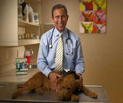  Dr. Jeff Werber, DVM