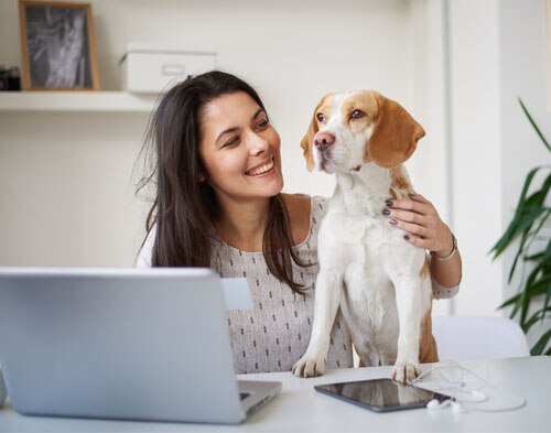 6 Sensational Benefits of a Pet Friendly Office Environment