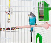 Getting Into the Swing of Perches