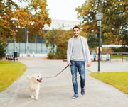 Man walking his dog on a leash on the sidewalk