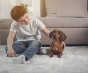 A boy sitting on the floor with a Dachshund puppy