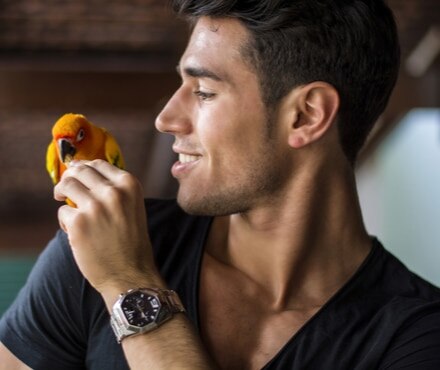 5 Steps for Success - Tips for New Bird Owners