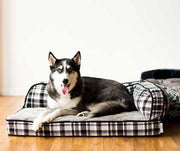 Husky Laying In A Petmate Orthopedic Bed