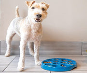 A dog standing next to a JW Pet slow feeder food bowl