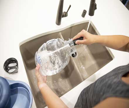 How To Clean A Petmate Gravity Pet Waterer