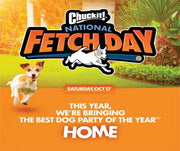 National Fetch Day: The Best Dog Party of the Year!