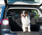 Benefits of Vehicle Pet Barriers