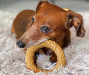 A dog BarkBone Natural Instinct Peanut Butter Infused Nylon Chew Ring