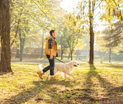 Man walking with his dog in the fall 