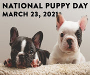 How To Celebrate National Puppy  Day