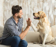 Man shaking a dogs paw hello