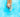 A dog swimming in a pool