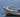 Dog sitting in the front of small boat on a lake