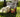 Woman picking up dog poop while in the grass