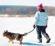Fall & Winter Dog Walking Safety Tips