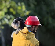 Fire Safety for Dogs
