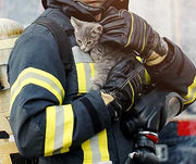 Fire Safety for Cats