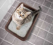 Different Types of Cat Litter - Which is Best?