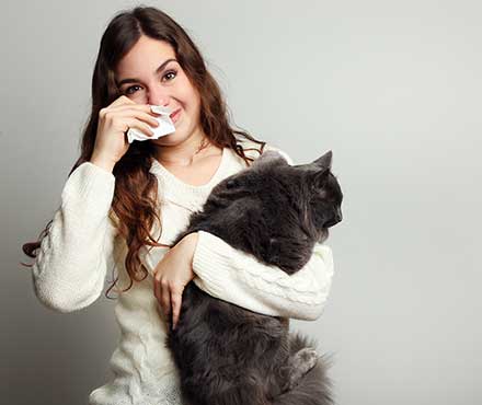 Dealing With Pet Allergies as a Pet Owner