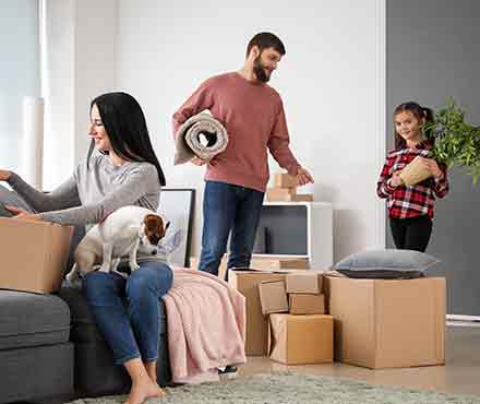 How to Move Without Stressing Out Your Pets