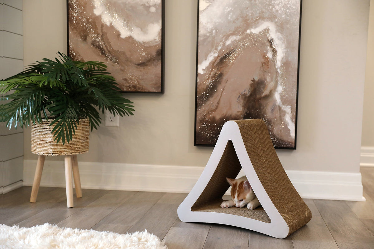 Orange and white cat resting inside a triangular cardboard cat scratcher lounge in a living room