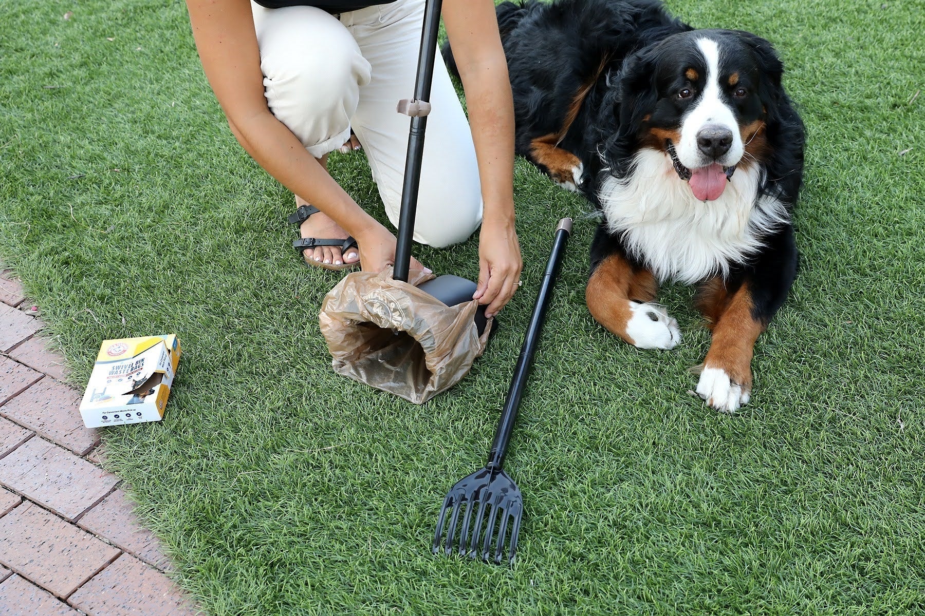 Pet parent cleaning up dog waste outdoors with dog poop bags and a waste scooper