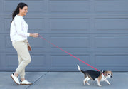 Best Leashes and Collars for Daily Walks: A Pet Parent’s Guide