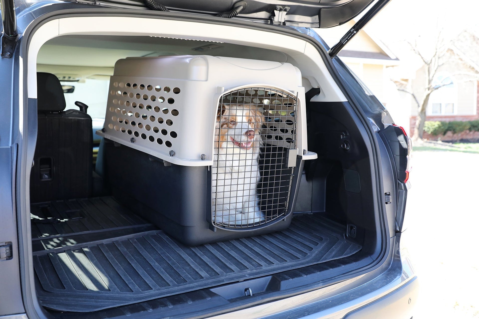 Portable Dog Kennels: Best Options for Home & Travel