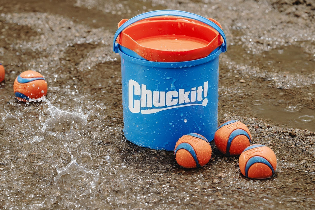 Top 5 Chuckit! Toys to Maximize Fetch Time with Your Dog