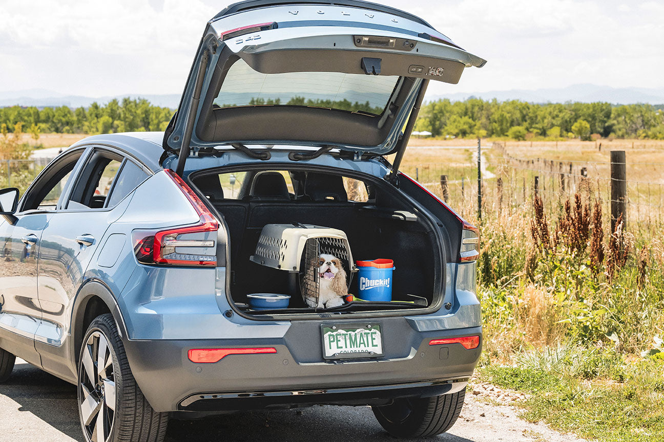 Top Travel Essentials for Pets This Holiday Season