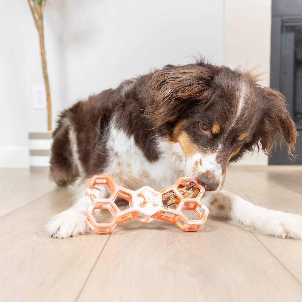 Best Interactive Dog Toys for Mental Stimulation