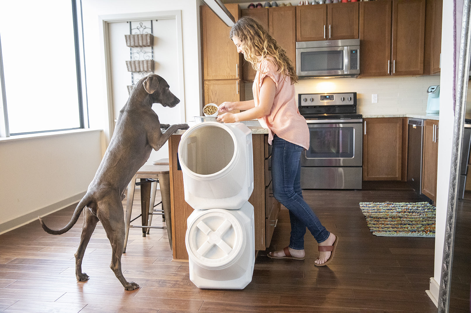 The Best Dog Food Containers: Airtight & Stackable Options