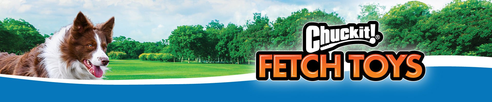 A border collie stands in a green field under a blue sky. The text reads Chuckit! Fetch Toys. Trees line the horizon in the background.