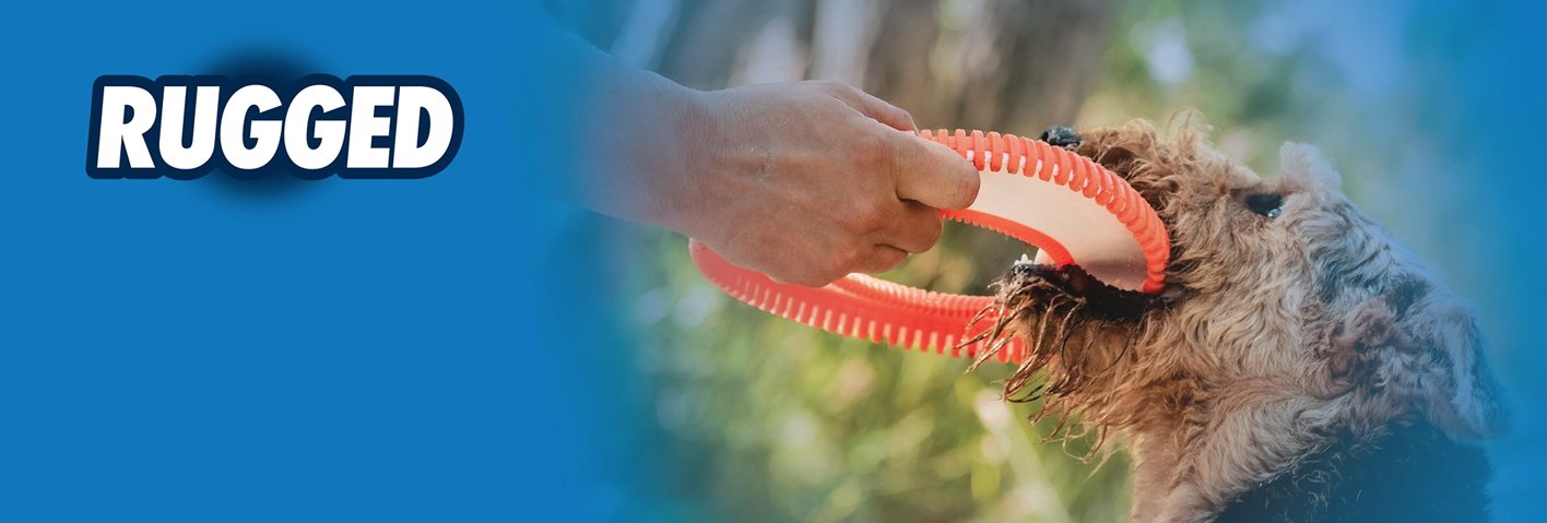 Chuckit Rugged Fetch Dog Toys
