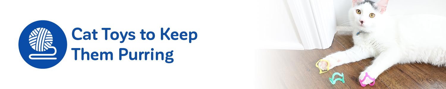 Cat Toys To Keep Them Purring with image of a white cat playing with a cat toy