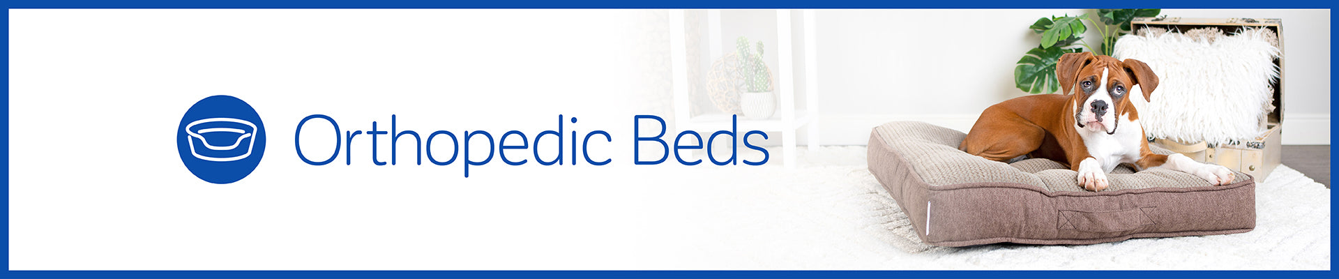 Orthopedic Beds