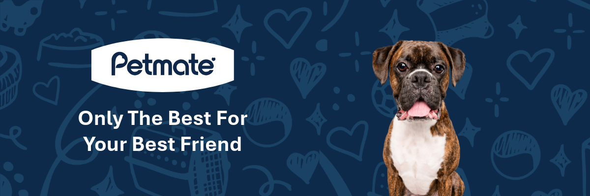 A brown and white dog with its tongue out sits next to the Petmate logo and the text “Only The Best For Your Best Friend” on a blue background with doodles of hearts, stars, and pet items.