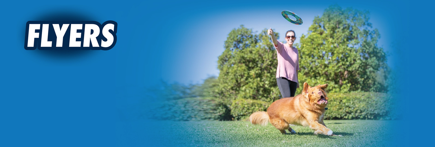 A dog chases a flying disc thrown by a person in a park. The scene is set against a blue background with the word Flyers on the left.