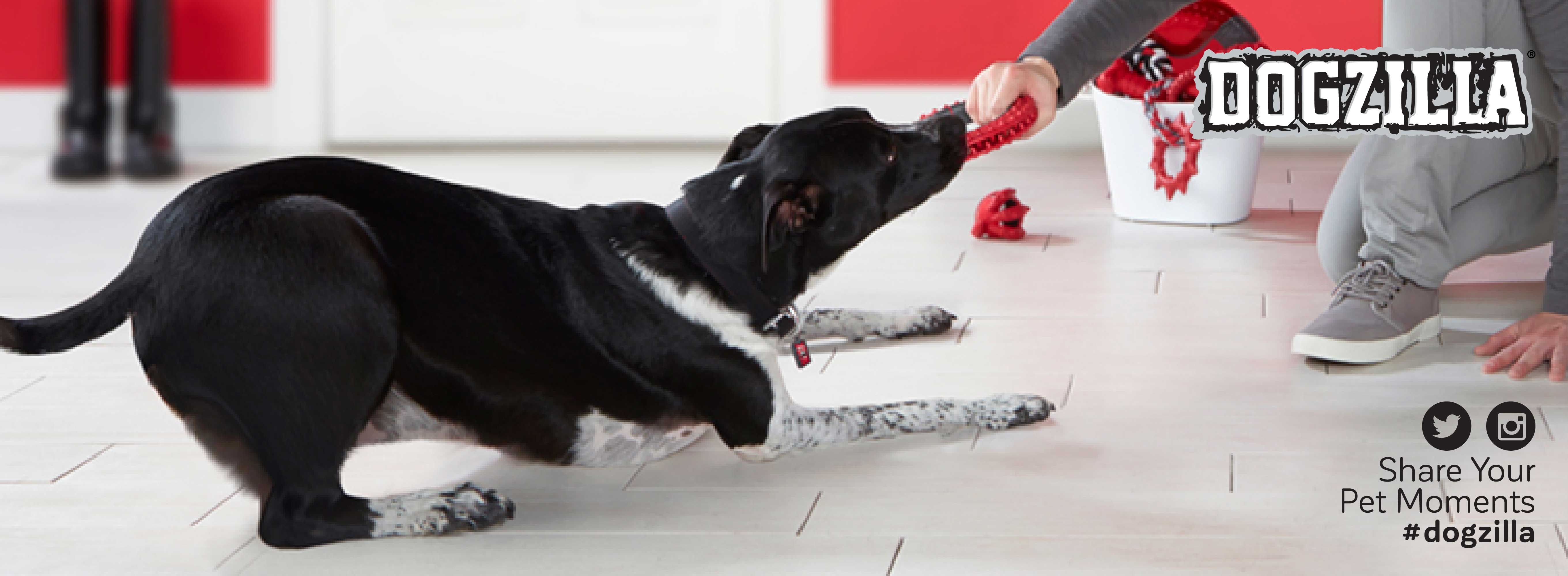 Dogzilla Dogzilla: Dog Toys for Beastly Fun – Petmate