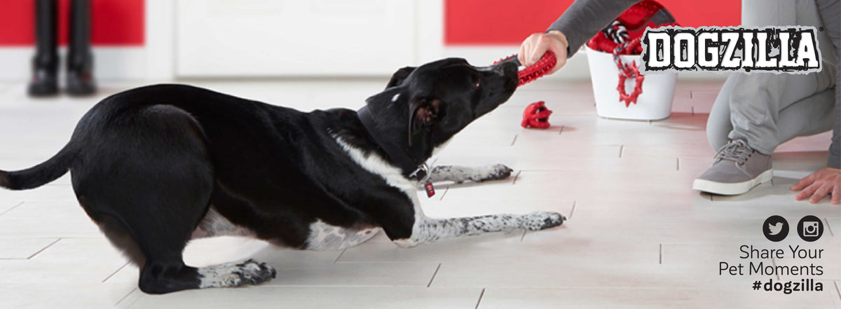 Dogczilla Dogzilla: Dog Toys for Beastly Fun – Petmate