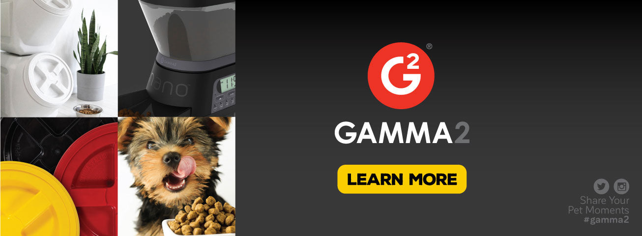 Gamma 2 Pet Feeders 