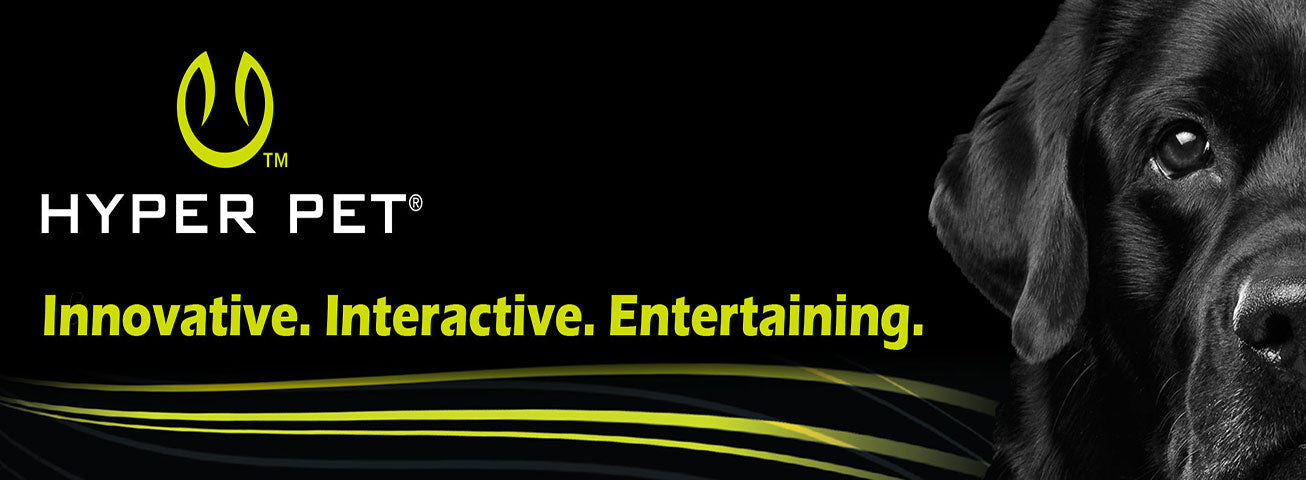 Hyper Pet Interactive dog Toys